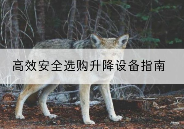 长子升降货梯厂家推荐-*安全选购升降设备指南