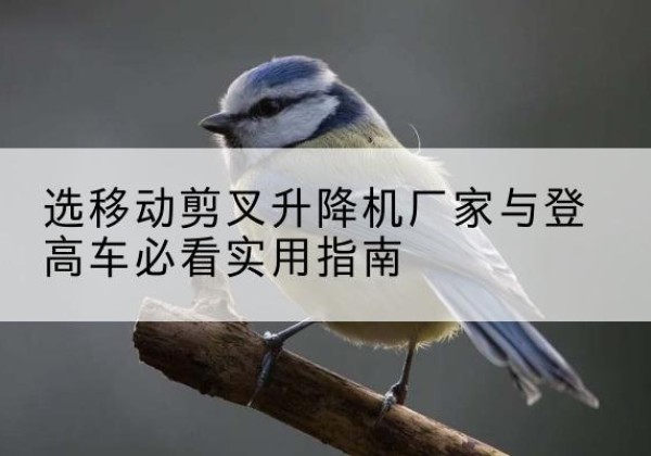 长子电动升降机厂家-选移动剪叉升降机厂家与登高车必看实用指南